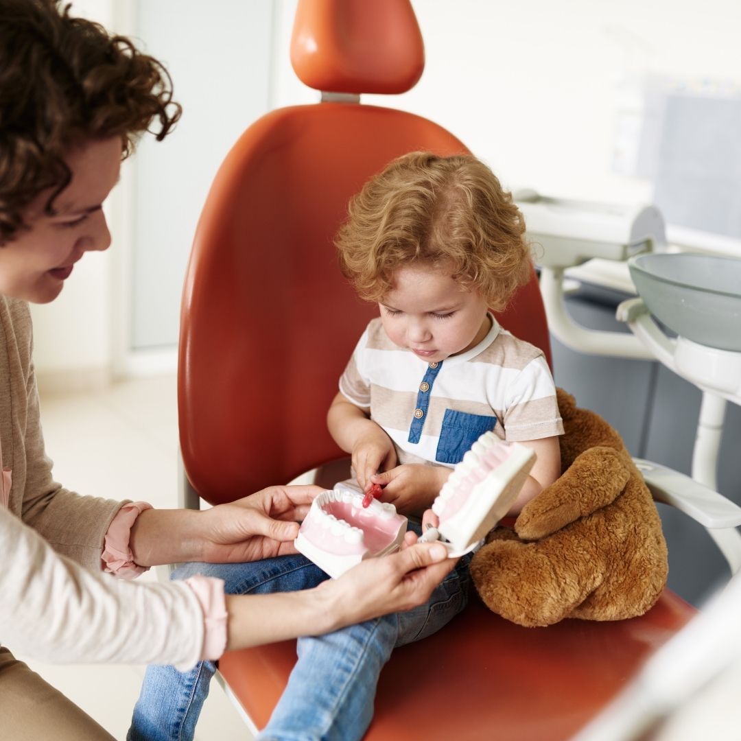 dentist showing model of mouth to child